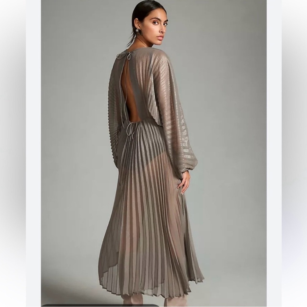Sheer Pleated Taupe Women’s Dress- Resort Wear One Size - Picture 2 of 10